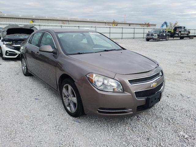 CHEVROLET MALIBU 2LT 2010 1g1zd5eb5af157355