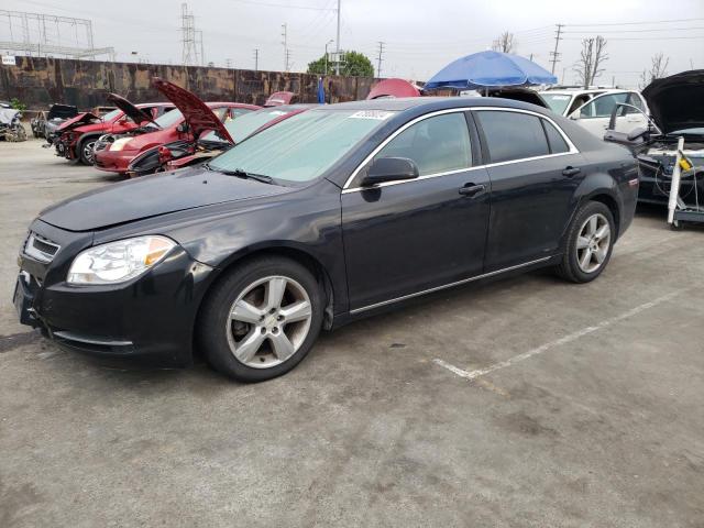 CHEVROLET MALIBU 2010 1g1zd5eb5af163303