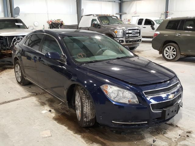 CHEVROLET MALIBU 2LT 2010 1g1zd5eb5af167335