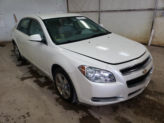 CHEVROLET MALIBU 2LT 2010 1g1zd5eb5af293288