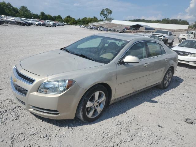 CHEVROLET MALIBU 2LT 2010 1g1zd5eb5af317590