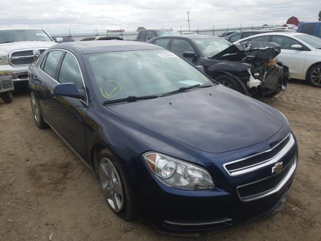 CHEVROLET MALIBU 2LT 2010 1g1zd5eb5af325060