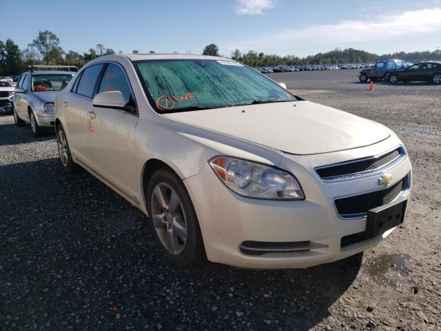 CHEVROLET MALIBU 2LT 2010 1g1zd5eb6a4124795