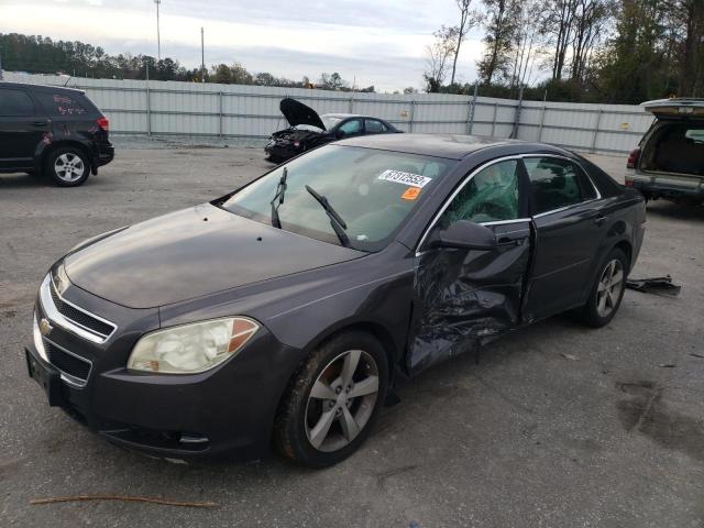 CHEVROLET MALIBU 2LT 2010 1g1zd5eb6a4145503