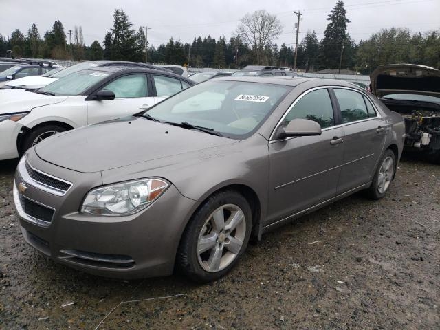 CHEVROLET MALIBU 2LT 2010 1g1zd5eb6a4150748