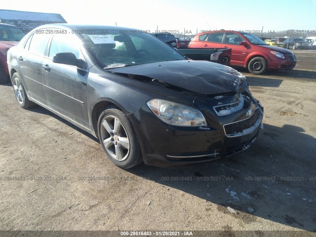 CHEVROLET MALIBU 2010 1g1zd5eb6af134845