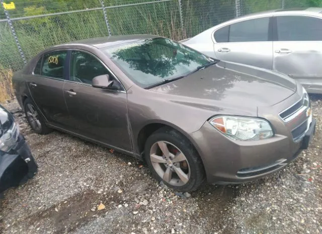 CHEVROLET MALIBU 2010 1g1zd5eb6af172396