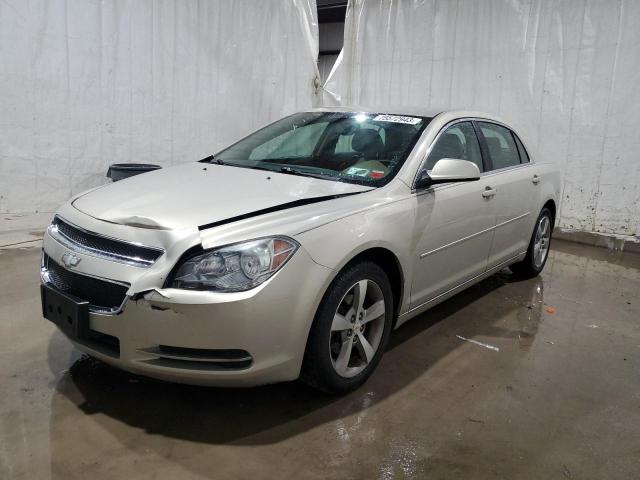 CHEVROLET MALIBU 2010 1g1zd5eb6af217045