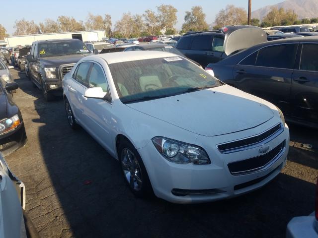 CHEVROLET MALIBU 2LT 2010 1g1zd5eb6af291145