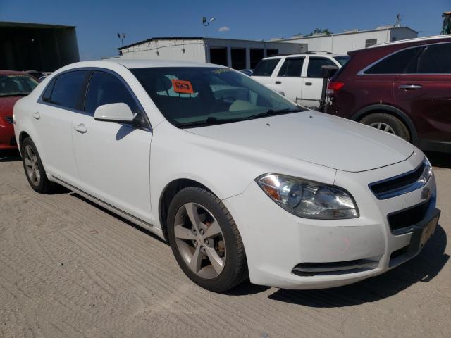 CHEVROLET MALIBU 2LT 2010 1g1zd5eb6af325911