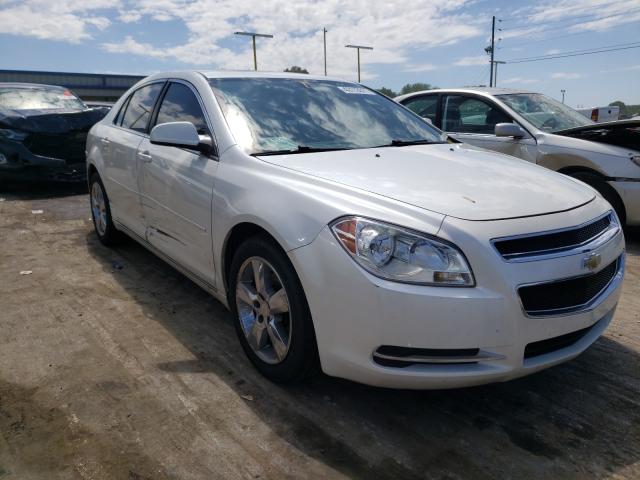 CHEVROLET MALIBU 2LT 2010 1g1zd5eb7af141545