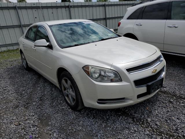 CHEVROLET MALIBU 2LT 2010 1g1zd5eb7af143389