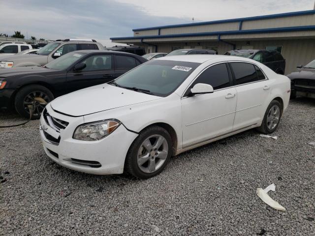 CHEVROLET MALIBU 2LT 2010 1g1zd5eb7af147846