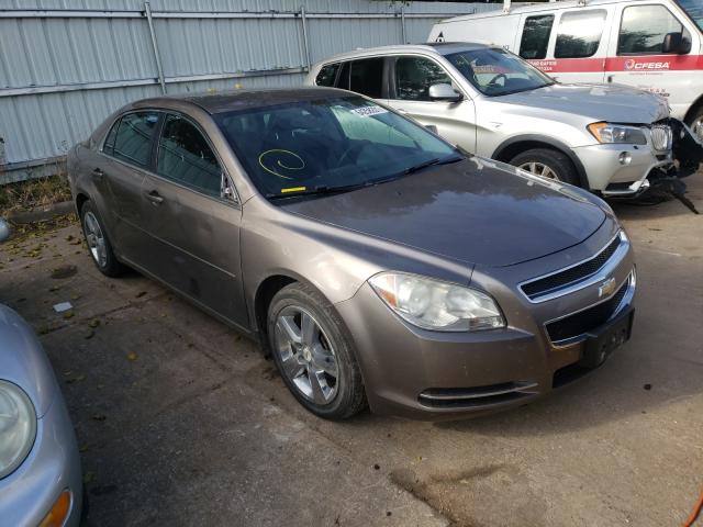 CHEVROLET MALIBU 2LT 2010 1g1zd5eb7af156272