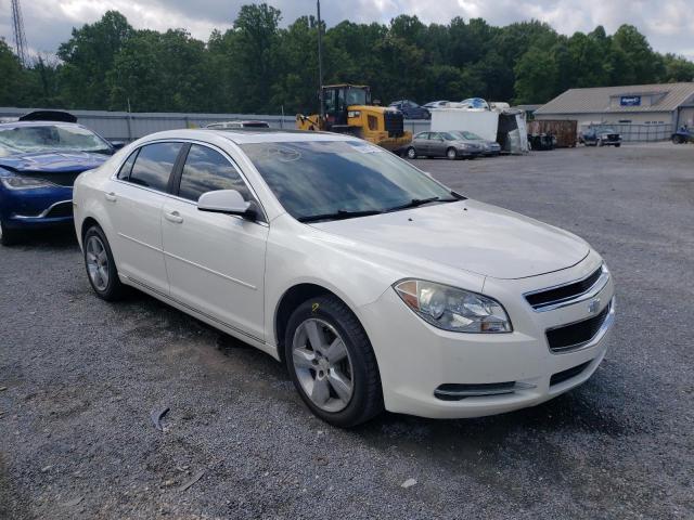 CHEVROLET MALIBU 2LT 2010 1g1zd5eb7af156840