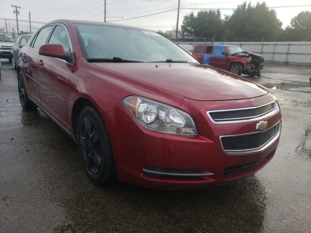 CHEVROLET MALIBU 2LT 2010 1g1zd5eb8af124026