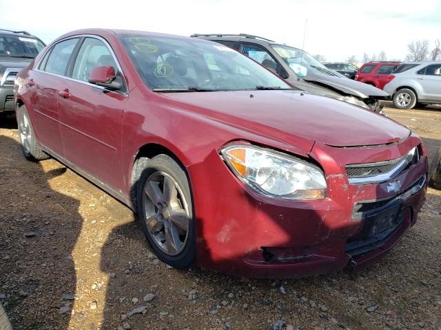 CHEVROLET MALIBU 2LT 2010 1g1zd5eb8af128335