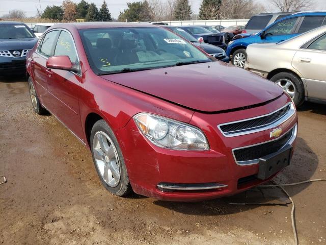 CHEVROLET MALIBU 2LT 2010 1g1zd5eb8af130571