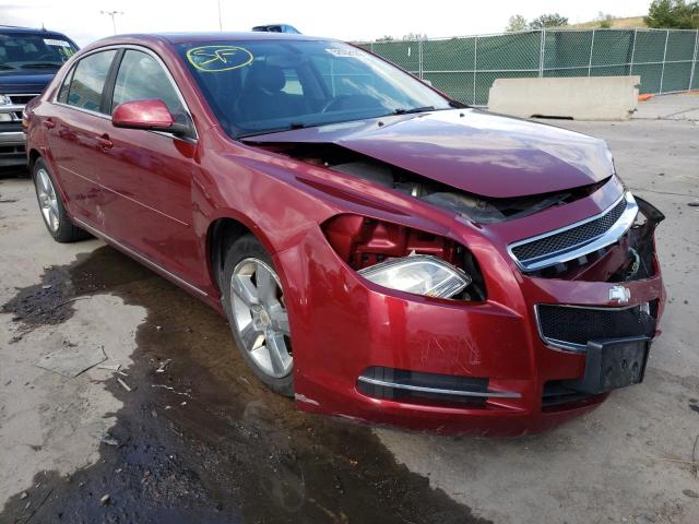 CHEVROLET MALIBU 2LT 2010 1g1zd5eb8af146656