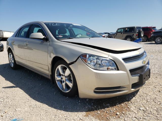 CHEVROLET MALIBU 2LT 2010 1g1zd5eb8af242514