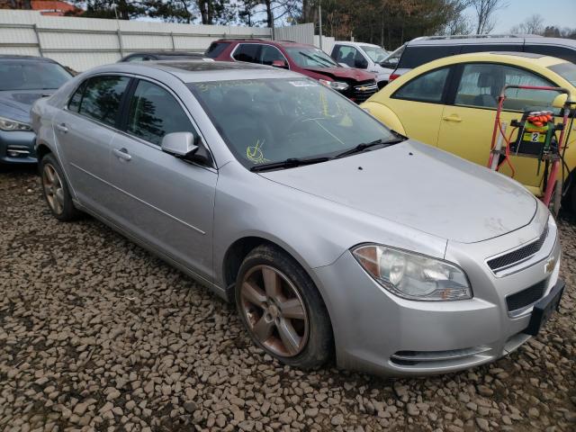 CHEVROLET MALIBU 2LT 2010 1g1zd5eb8af271351