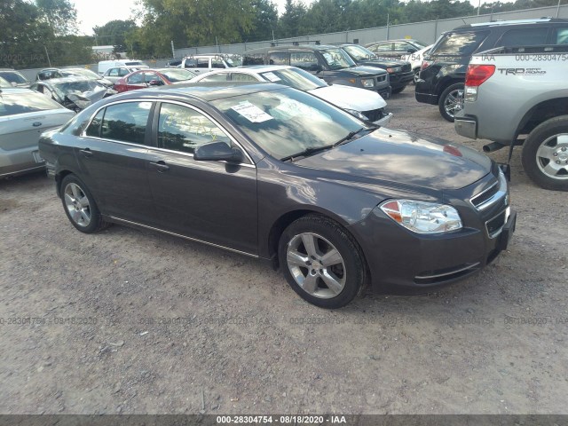 CHEVROLET MALIBU 2010 1g1zd5eb8af295729