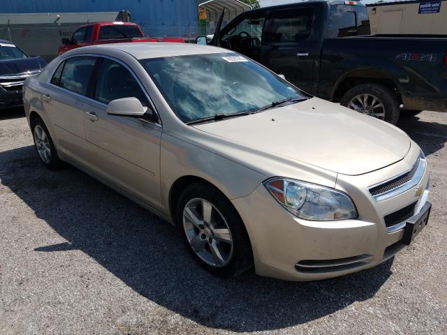 CHEVROLET MALIBU 2LT 2010 1g1zd5eb8af325389