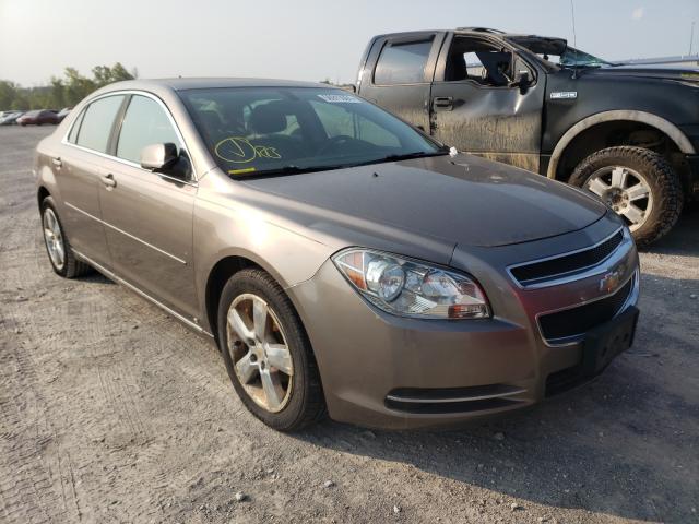 CHEVROLET MALIBU 2LT 2010 1g1zd5eb9af122916