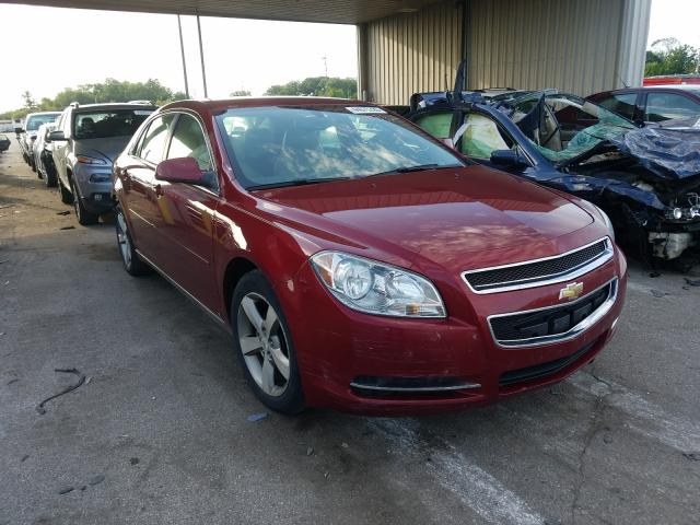 CHEVROLET MALIBU 2LT 2010 1g1zd5eb9af129512