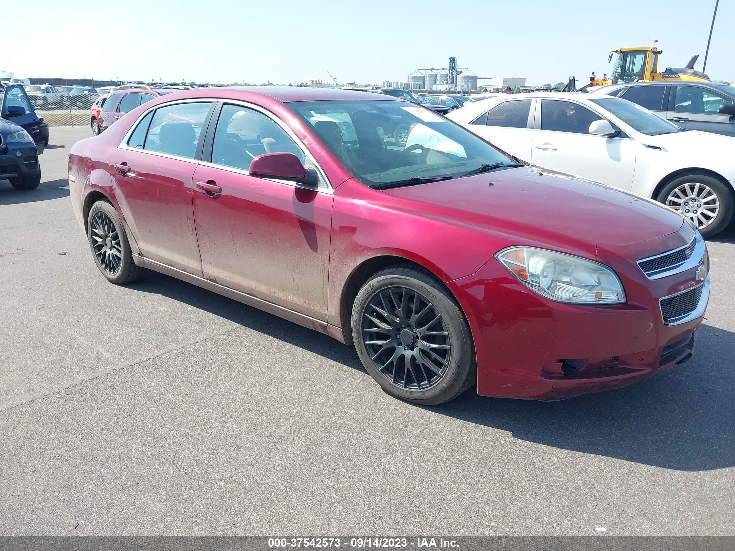 CHEVROLET MALIBU 2010 1g1zd5eb9af149968