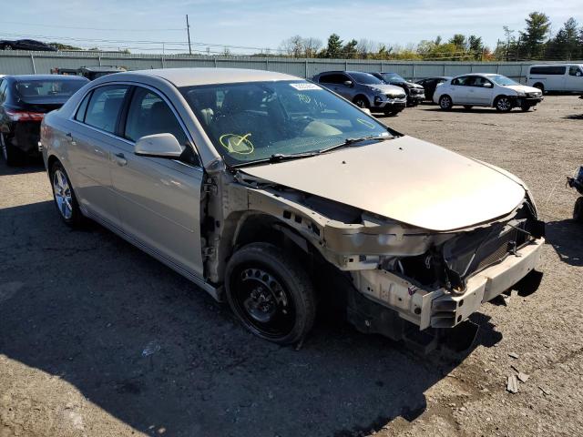 CHEVROLET MALIBU 2LT 2010 1g1zd5eb9af167340