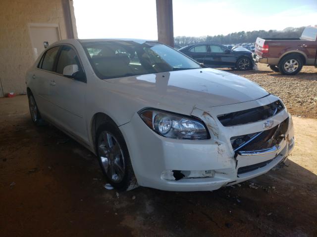 CHEVROLET NULL 2010 1g1zd5eb9af255546