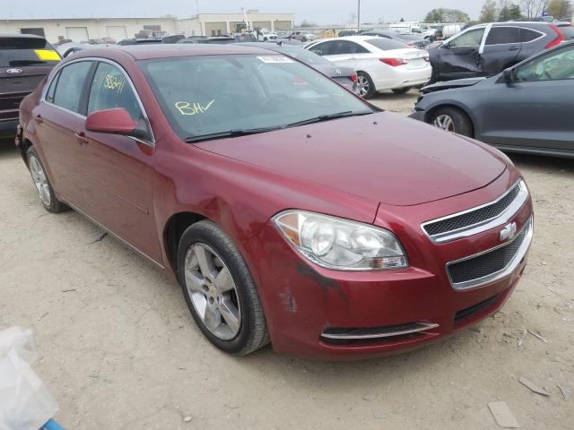 CHEVROLET MALIBU 2LT 2010 1g1zd5eb9af270404