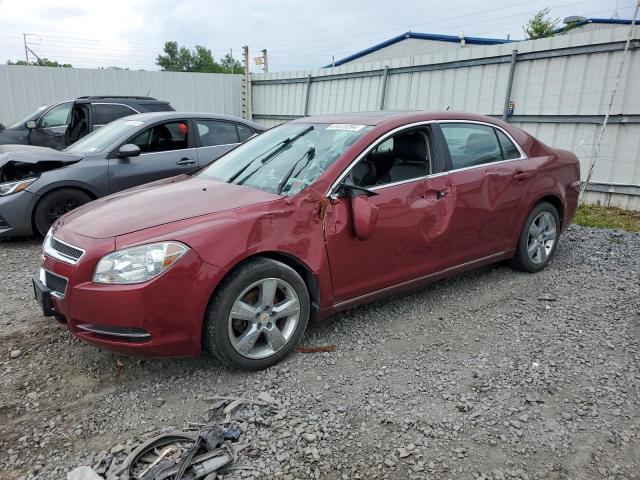 CHEVROLET MALIBU 2LT 2010 1g1zd5eb9af304292