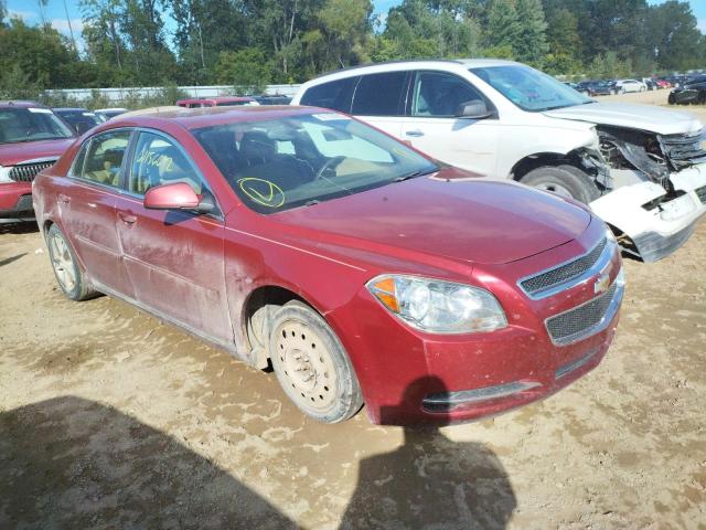 CHEVROLET MALIBU 2LT 2010 1g1zd5ebxaf117899