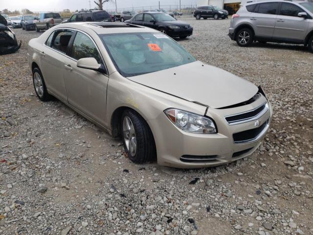 CHEVROLET MALIBU 2LT 2010 1g1zd5ebxaf296154