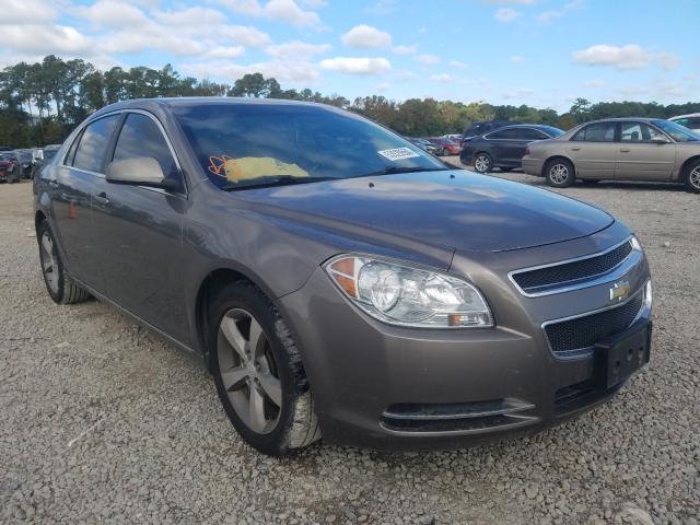 CHEVROLET MALIBU 2LT 2011 1g1zd5eu0bf248083