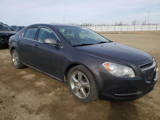 CHEVROLET MALIBU 2LT 2011 1g1zd5eu0bf317709