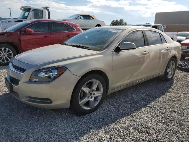 CHEVROLET MALIBU 2LT 2011 1g1zd5eu2bf232404