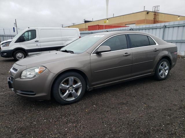 CHEVROLET MALIBU 2011 1g1zd5eu3bf135051