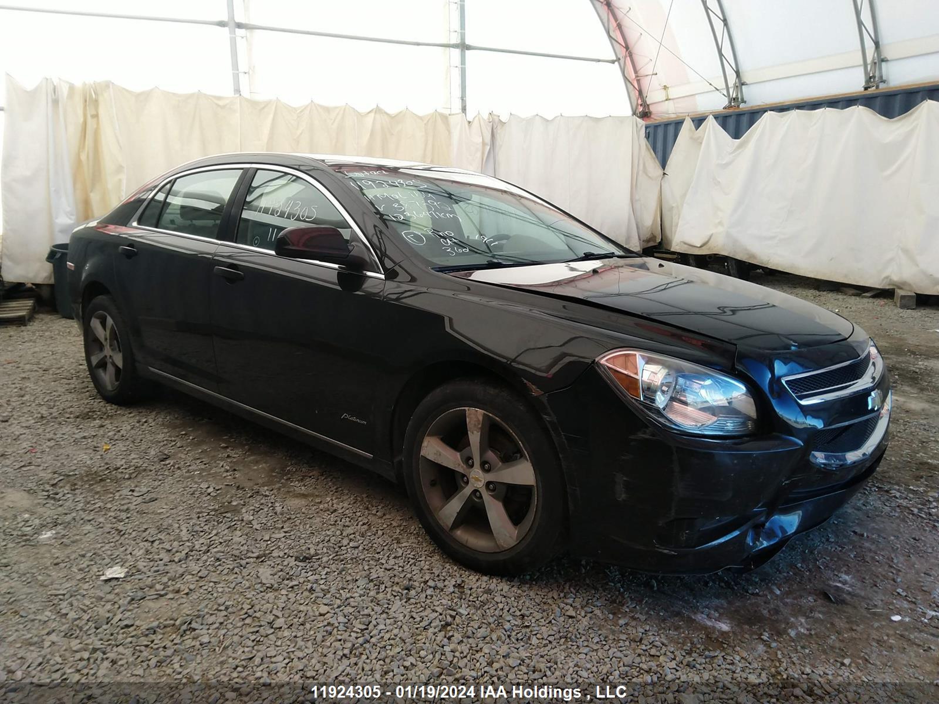 CHEVROLET MALIBU 2011 1g1zd5eu3bf387592