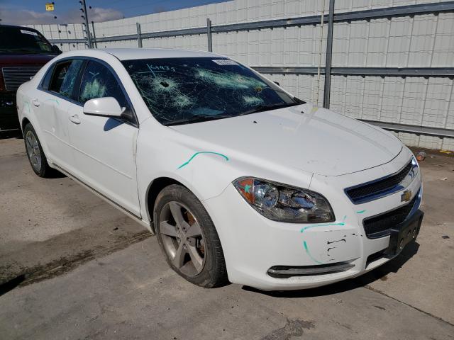 CHEVROLET MALIBU 2LT 2011 1g1zd5eu5bf138209