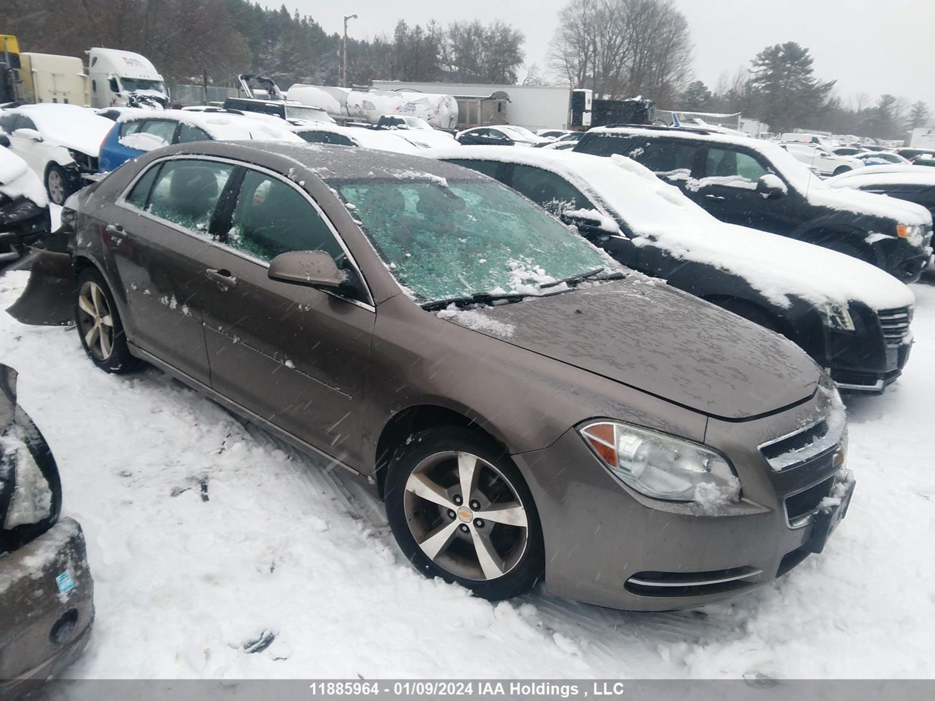 CHEVROLET MALIBU 2011 1g1zd5eu5bf319536