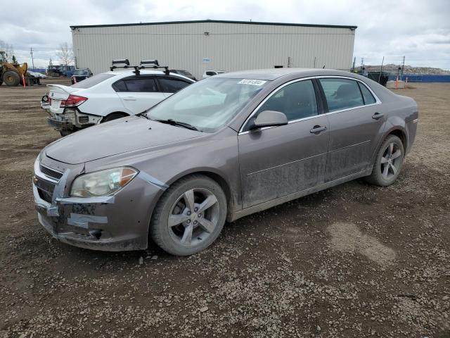 CHEVROLET MALIBU 2011 1g1zd5eu5bf332853