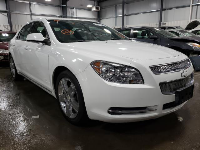 CHEVROLET MALIBU 2LT 2011 1g1zd5eu6bf372004