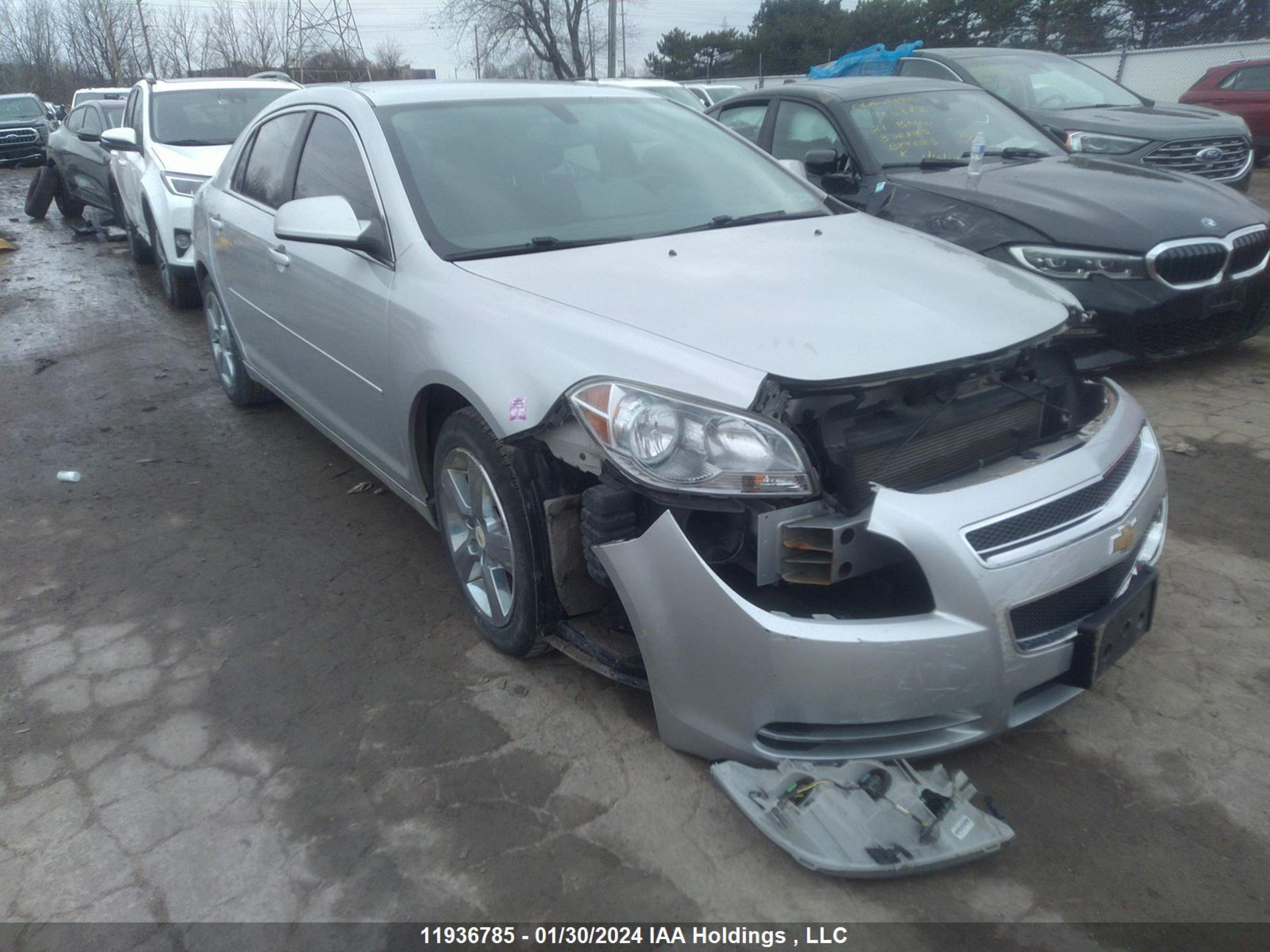 CHEVROLET MALIBU 2011 1g1zd5eu7bf313995