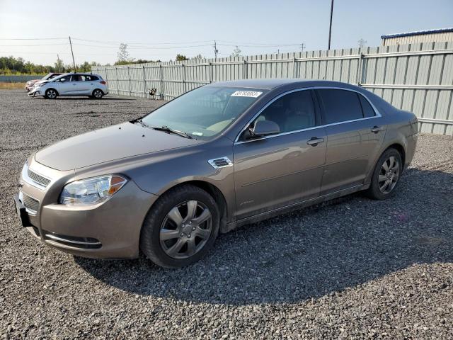 CHEVROLET MALIBU 2LT 2011 1g1zd5eu8bf132839