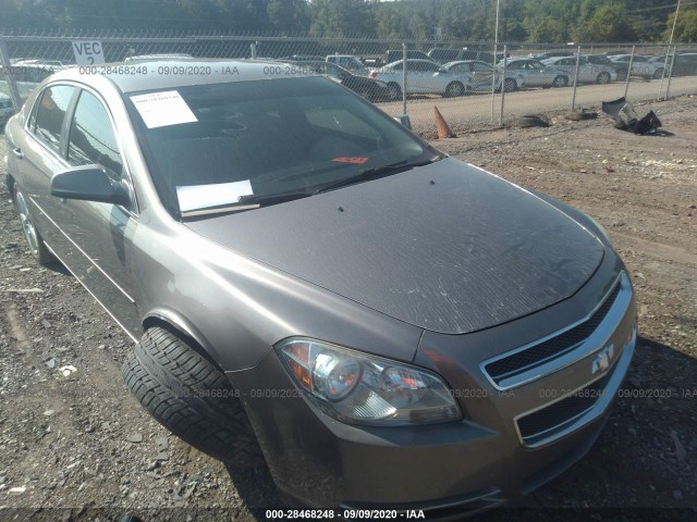 CHEVROLET MALIBU 2011 1g1zd5eu8bf194547