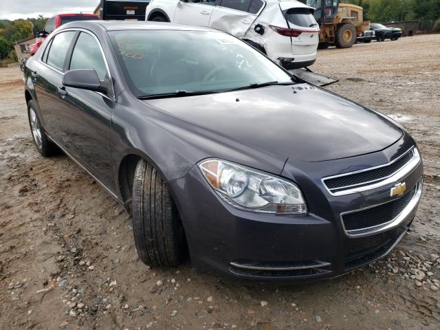 CHEVROLET MALIBU 2LT 2011 1g1zd5eu8bf260157