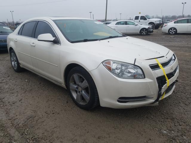 CHEVROLET MALIBU 2LT 2011 1g1zd5eu8bf304545